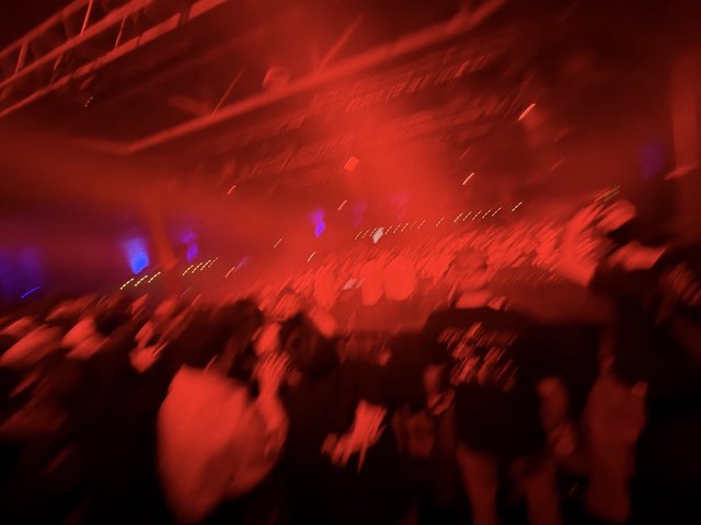 Immersed in Red Light: Concert Crowd Energy