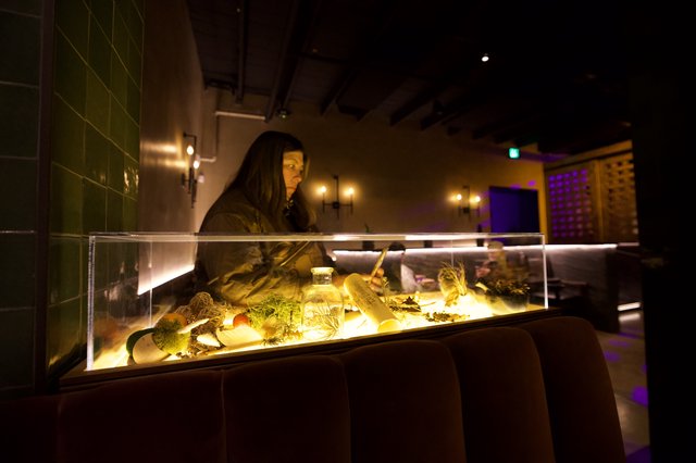 Woman Observing Illuminated Natural History Display Case