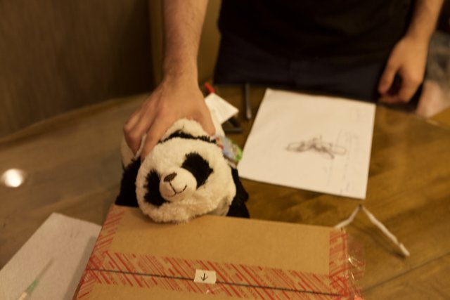 Man and His Stuffed Panda