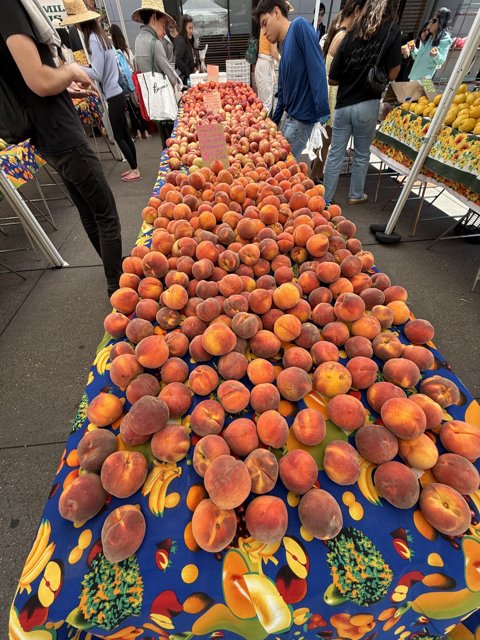 Bountiful Peaches at the Ferry Building Market