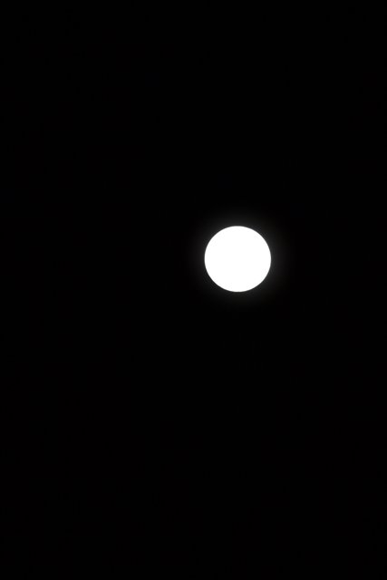 Full Moon Illuminates Night Sky