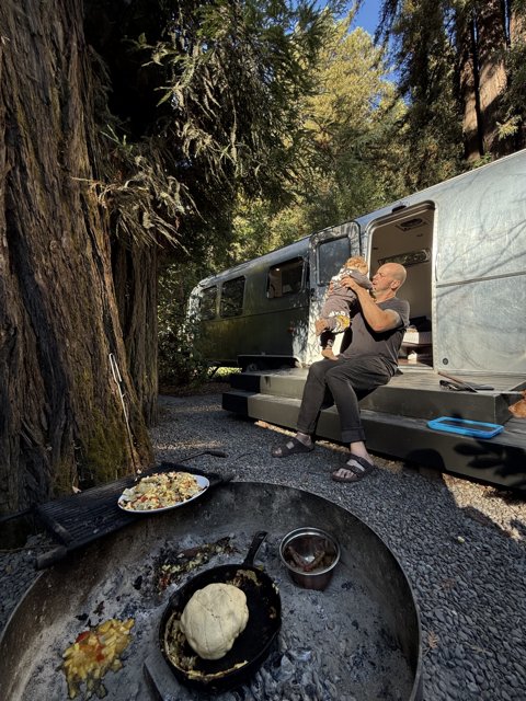 Morning Warmth Among the Redwoods