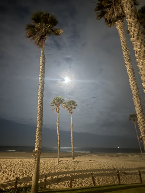 Moonlit Serenity by the Shore