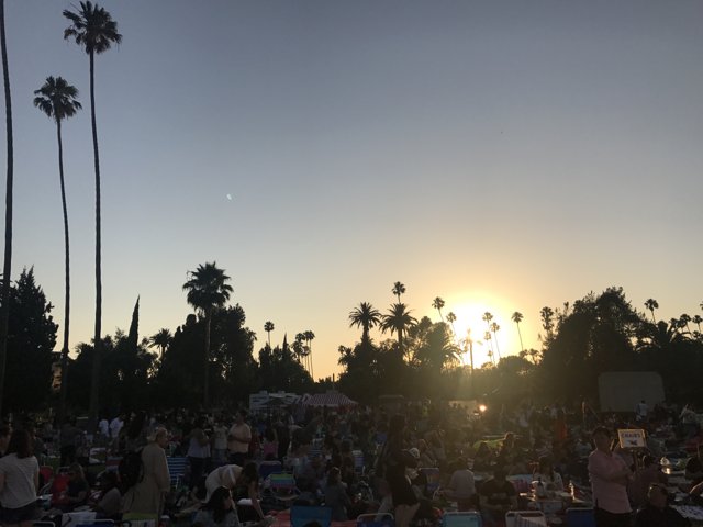 Summer Sunset Concert with Palm Trees