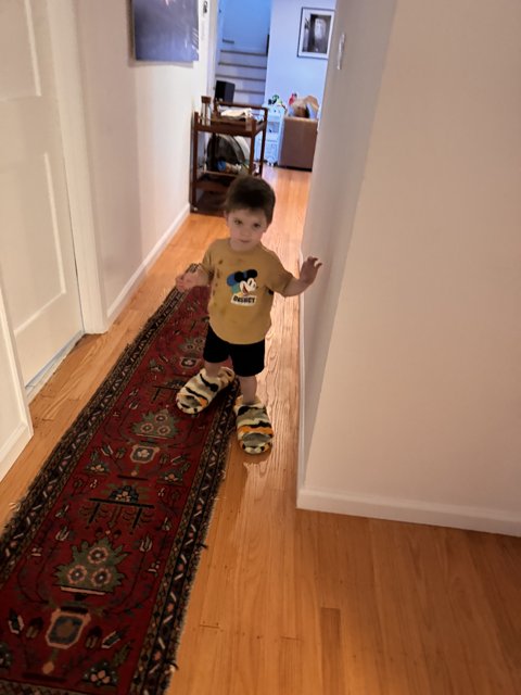 Little Adventurer in Big Slippers