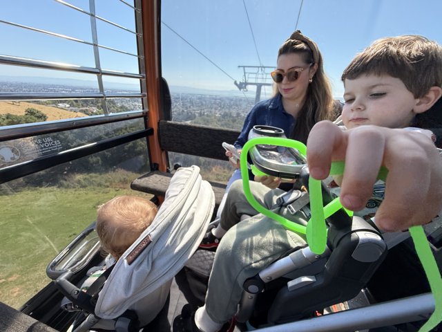 Sky-High Adventures at the Zoo