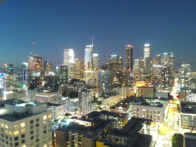 Bright Lights of the LA Metropolis