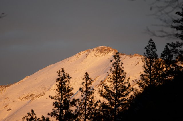 Snow-Covered Peak Bathed in Golden Alpenglow