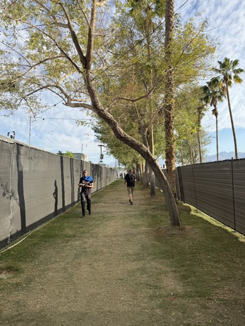 Strolling Through Springtime