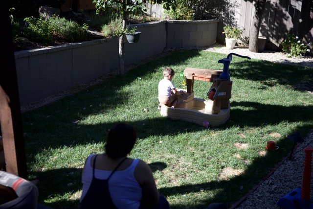 Afternoon Play in the Backyard