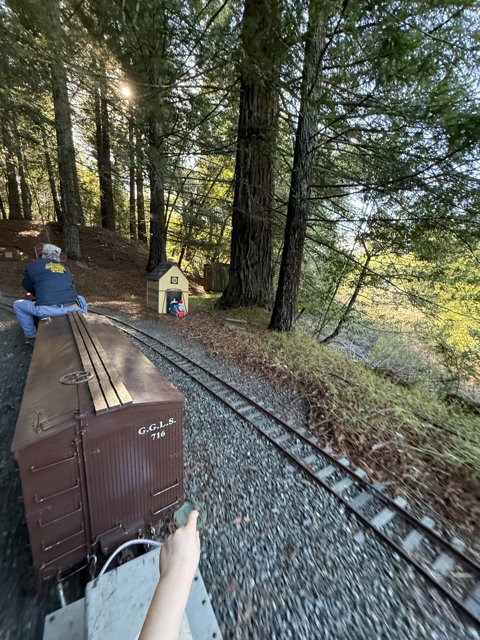 Journey Through the Redwoods