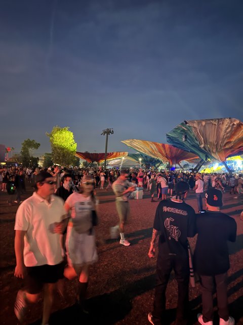 Vibrant Night at the Polo Grounds