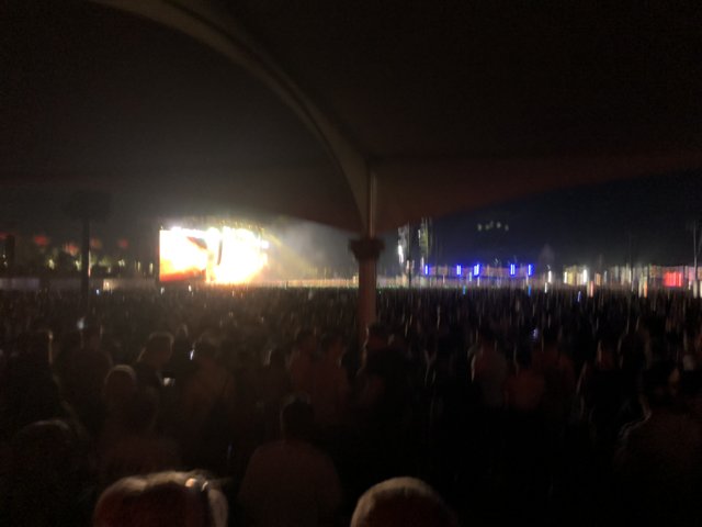 Night-time Revelry at the Concert