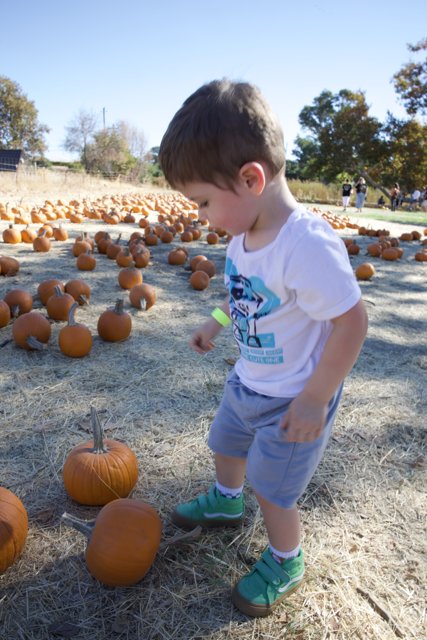 Pumpkin Patch Exploration