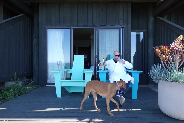 Man Relaxing with Dog on Modern Patio