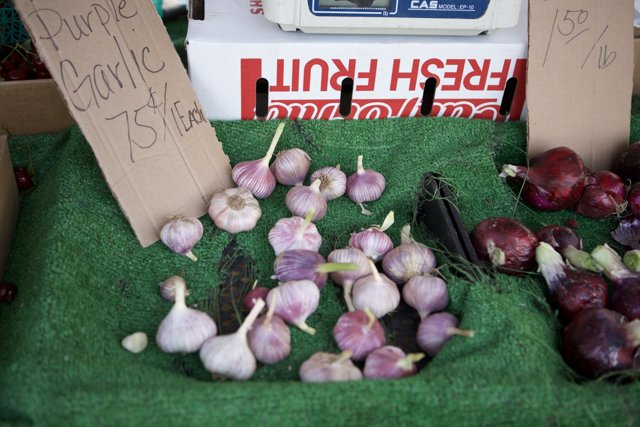 Fresh Garlic and Onions at the Blogdowntown Picnic
