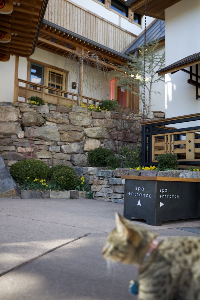 Alpine Spa Entrance at Mountain Resort Courtyard