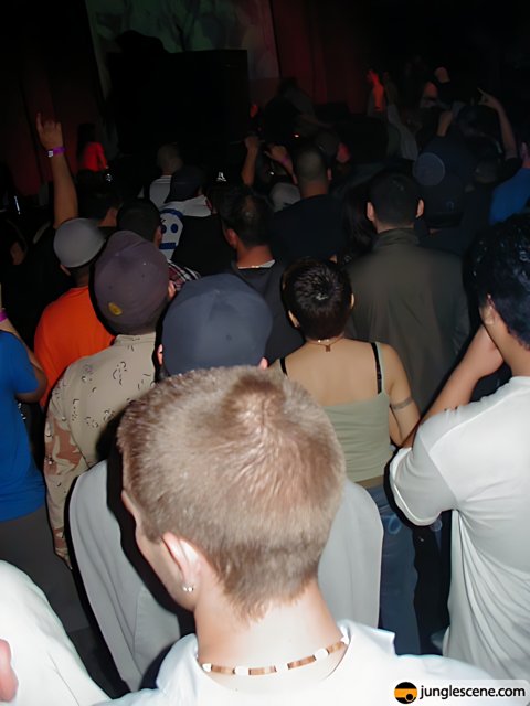 Nightclub Crowd at Databass 17