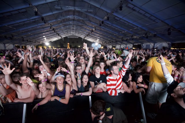 The Electric Energy of Cochella’s Crowd