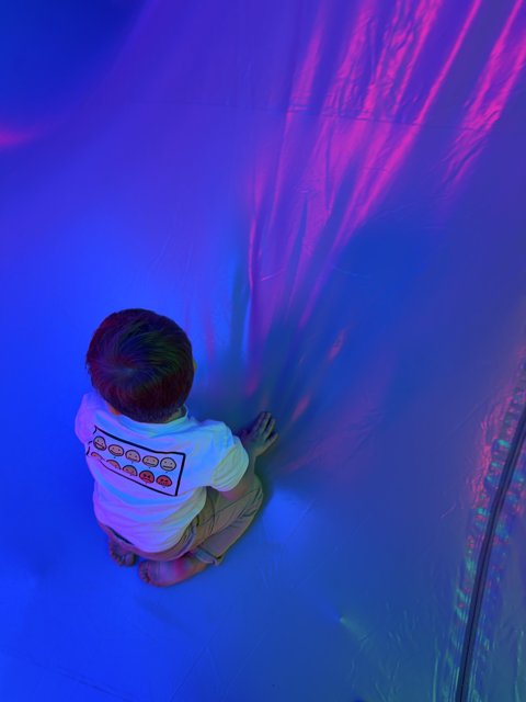 Previous