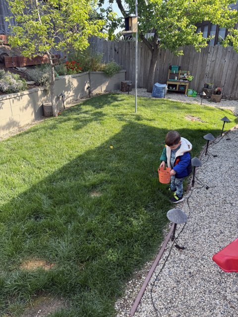 Backyard Explorations