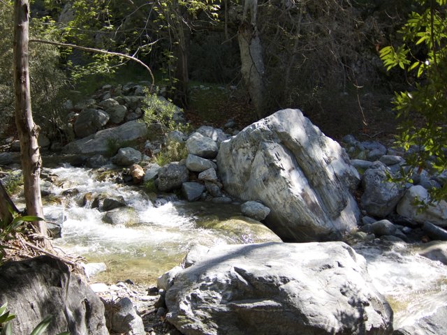 Serene Creek in the Wilderness
