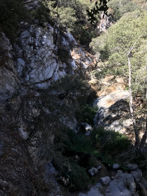 Wilderness Stream in Angeles National Forest