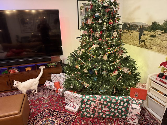 Christmas Morning with Curious White Cat and Decorated Tree