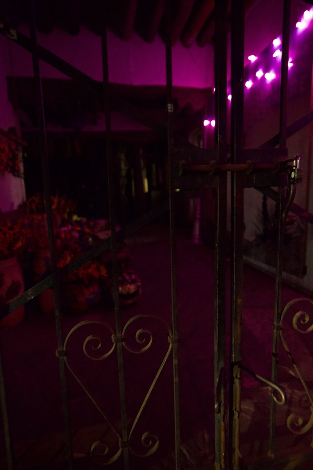 Purple-Lit Garden Patio with Decorative Metal Gate at Night