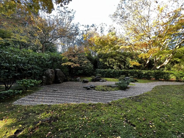Serenity in the Japanese Tea Garden