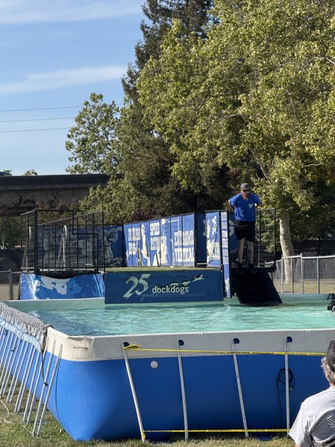 Dock Diving Delight