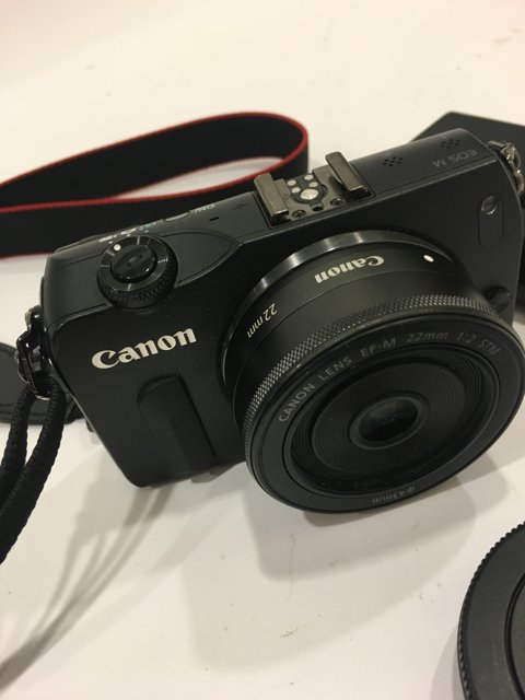 Canon EOS M5 with 18-55mm Kit Lens at The Broad