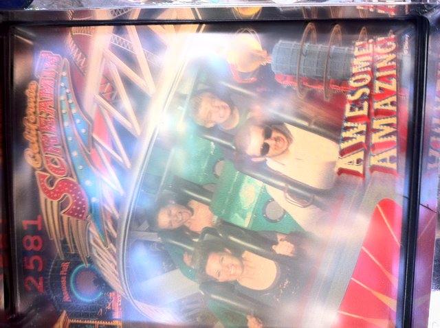 California Screamin' Roller Coaster Thrill Ride Photo
