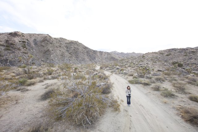 Walking the Wild Desert Road