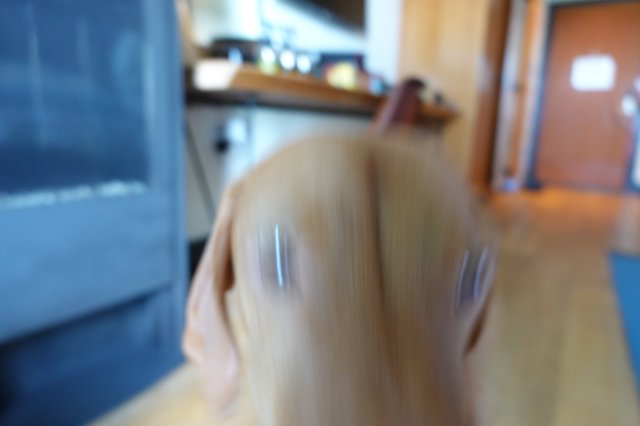 Blurred Motion in Modern Kitchen Setting