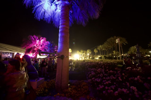 Illuminated Palm Tree at Coachella