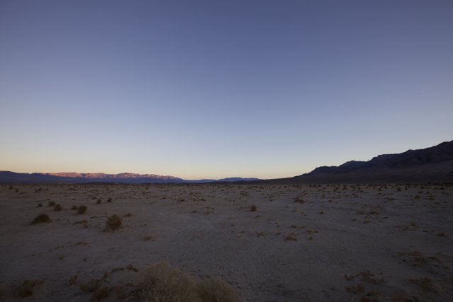 Serenity of the Desert