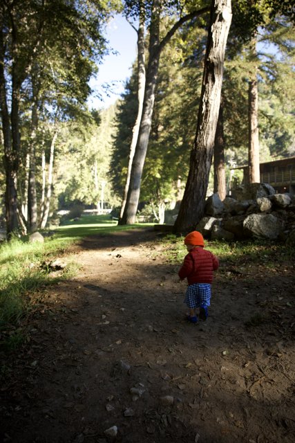 Adventure Awaits: A Young Explorer in Big Sur