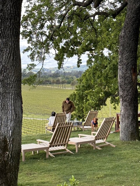 Tranquil Afternoon at Scribe, Sonoma