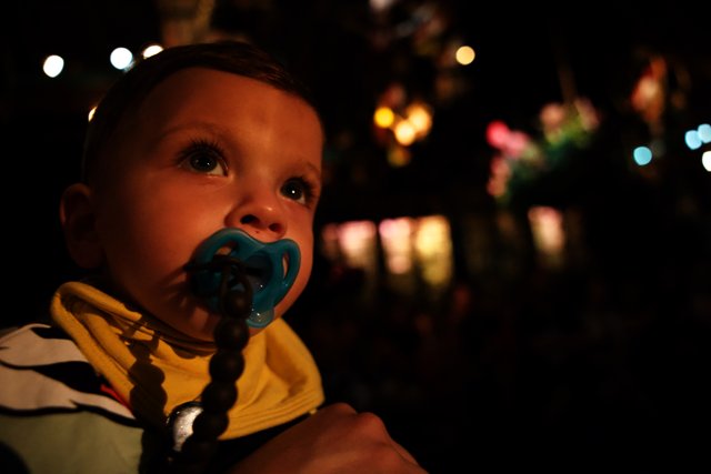 Baby Wesley's Disneyland Adventure