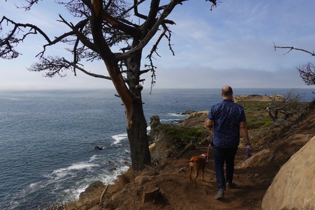 A Man and His Canine Companion at the Ocean Trail