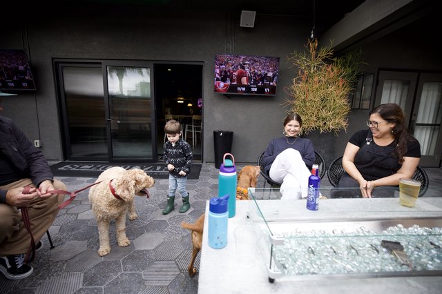 Family Gathering at Modern Outdoor Patio with Pet Dog