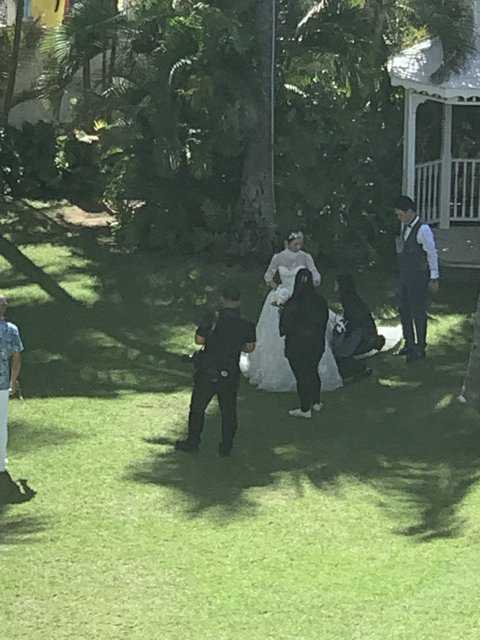 A Wedding Party on the Green