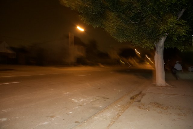 Blurred Streetscape with Tree at Night