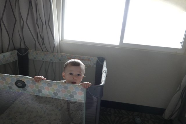 Morning Curiosity