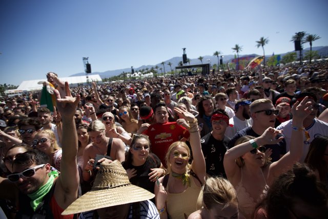 Coachella 2017 Crowd Under the California Sun