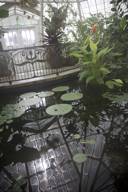 Pond Panorama: The Conservatory of Flowers Reflected