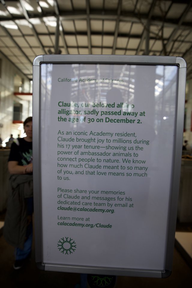 Memorial Tribute Sign for Claude the Alligator