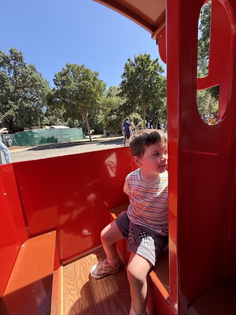 Summer Adventures in Walnut Creek