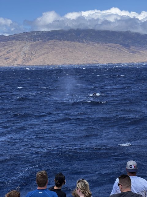 Whale Watching Adventure in Hawaiʻi